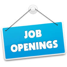 Finance Analyst Jobs: A Complete Guide to Building a Rewarding Career